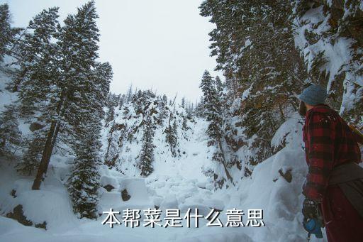  本幫菜是什么意思