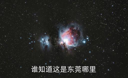 東莞 麻蔥，誰(shuí)知道這是東莞哪里