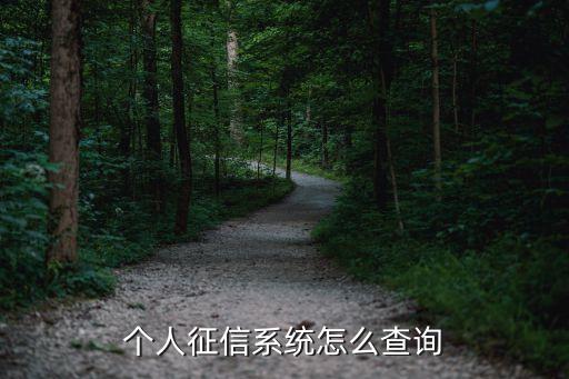 個(gè)人征信系統(tǒng)怎么查詢