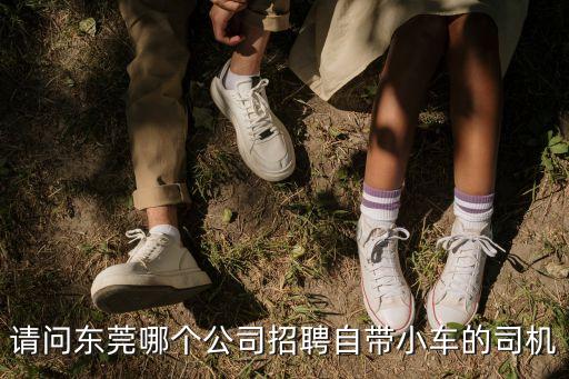 請問東莞哪個公司招聘自帶小車的司機