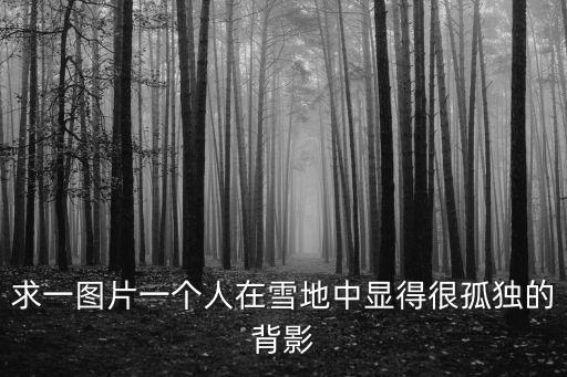 求一圖片一個人在雪地中顯得很孤獨(dú)的背影