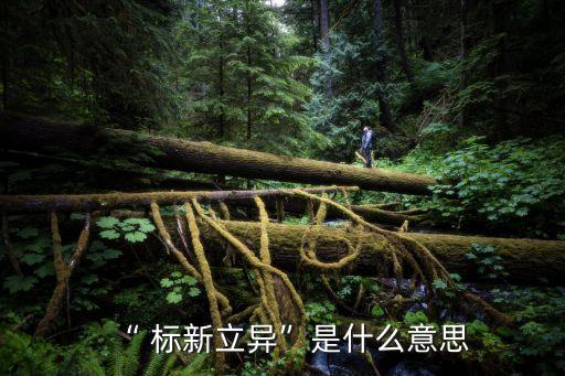 標新立異造句,標新立異:與眾不同的風格和手法