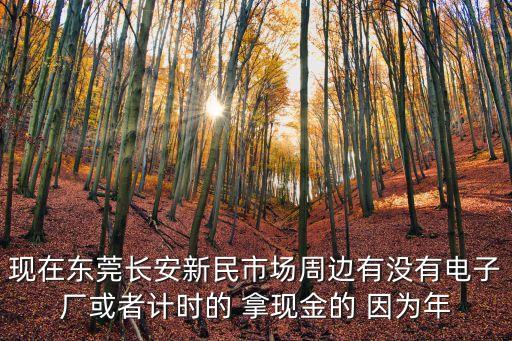 現在東莞長安新民市場周邊有沒有電子廠或者計時的 拿現金的 因為年