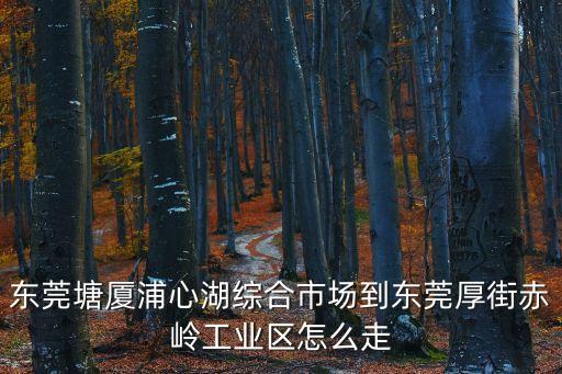 東莞赤嶺有菜市場嗎，東莞厚街赤嶺菜市場擺小灘賣菜需要辦什么手續嗎
