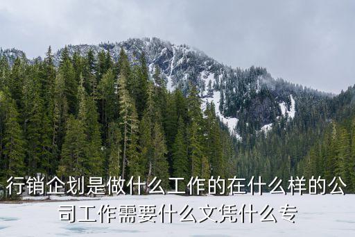 行銷(xiāo)企劃是做什么工作的在什么樣的公司工作需要什么文憑什么專(zhuān)