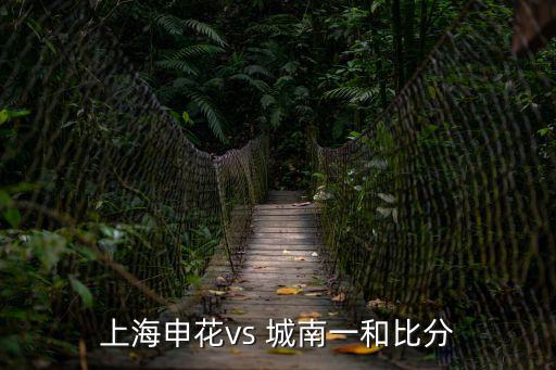 上海申花vs 城南一和比分