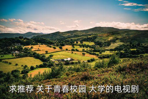 求推薦 關于青春校園 大學的電視劇