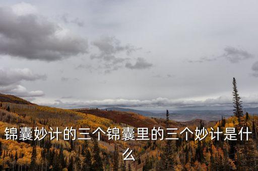 錦囊妙計(jì)的意思，錦囊妙計(jì)的意思是