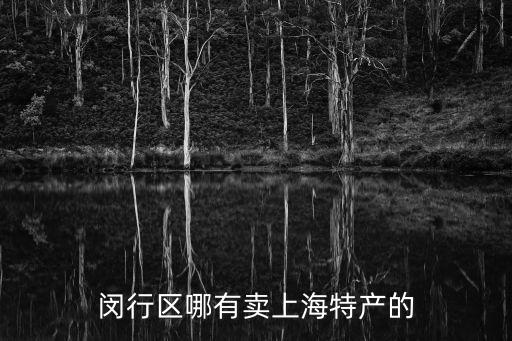 閔行區哪有賣上海特產的