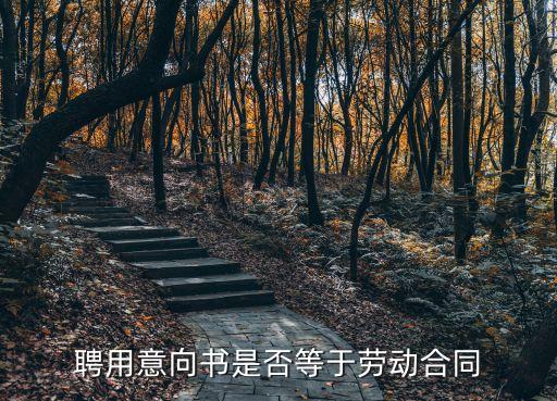 聘用意向書，擬聘用外國人原因的報告  聘用意向書怎么寫有誰知道急