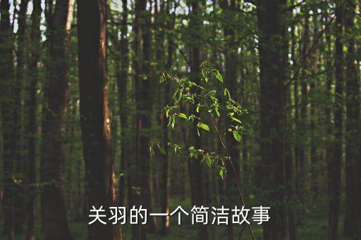關羽的一個簡潔故事