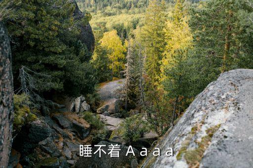 睡不著 A a a a