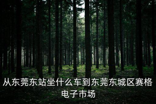 東莞東城賽格大火，火炬沒經(jīng)過深圳塞格