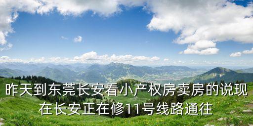 昨天到東莞長安看小產(chǎn)權(quán)房賣房的說現(xiàn)在長安正在修11號線路通往