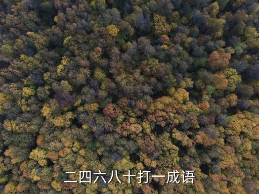 二四六八十打一成語