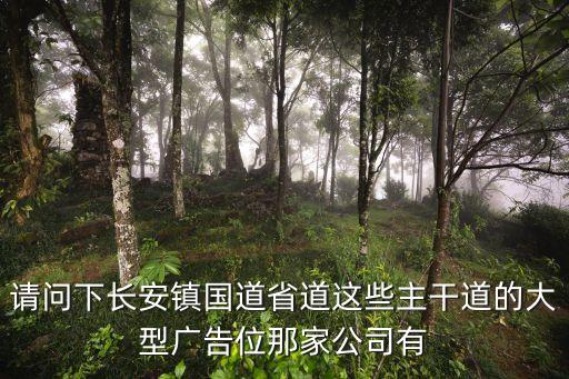 請(qǐng)問(wèn)下長(zhǎng)安鎮(zhèn)國(guó)道省道這些主干道的大型廣告位那家公司有