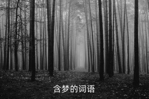 含夢的詞語