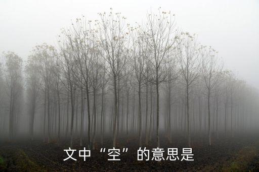 空的意思,空無一物與事物無關