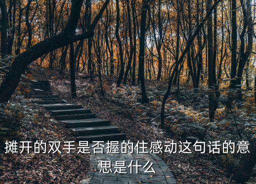 攤開雙手，攤開的雙手是否握的住感動這句話的意思是什么