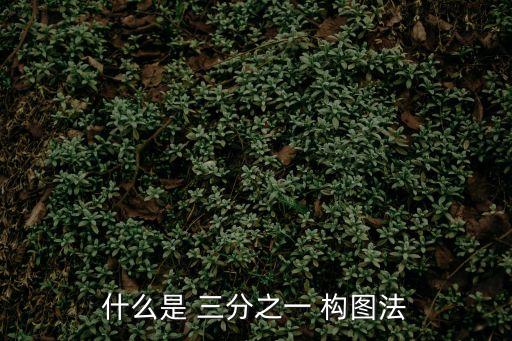 什么是 三分之一 構(gòu)圖法