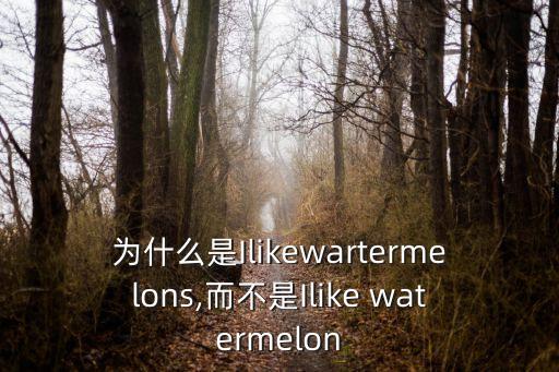 watermelon可數嗎,你喜歡西瓜嗎?可以試一下!