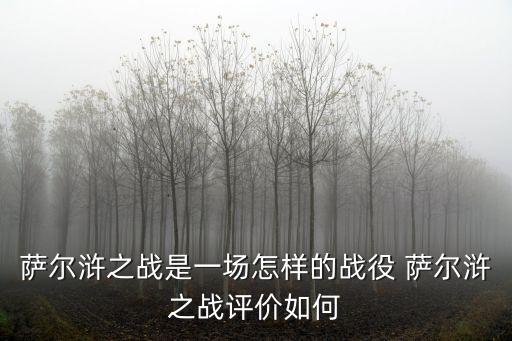 薩爾滸之戰是一場怎樣的戰役 薩爾滸之戰評價如何