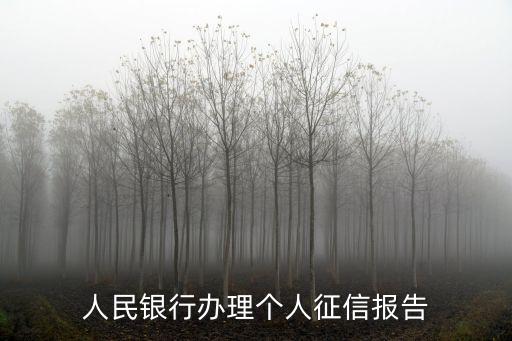 人民銀行辦理個人征信報告
