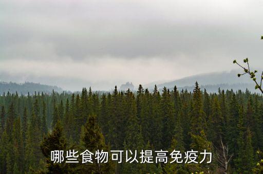 哪些食物可以提高免疫力