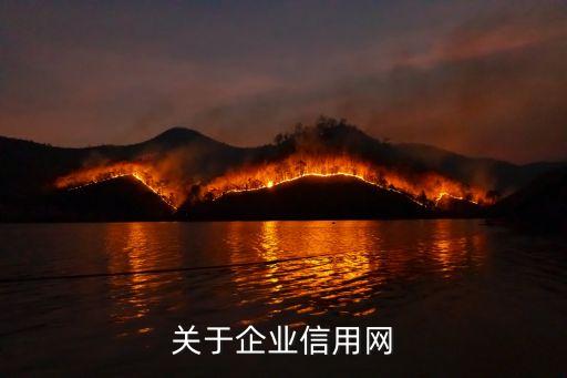 關于企業信用網