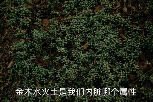 金木水火土是我們內臟哪個屬性