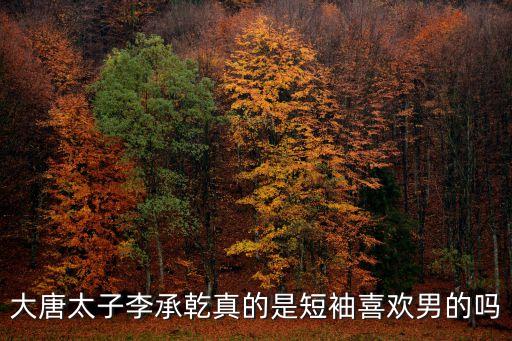 大唐李承乾，誰知道李世民的太子李承乾的詳細情況