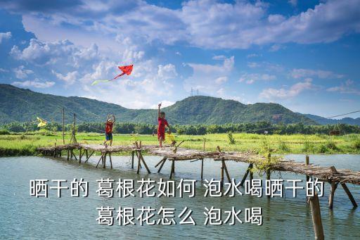 曬干的 葛根花如何 泡水喝曬干的 葛根花怎么 泡水喝