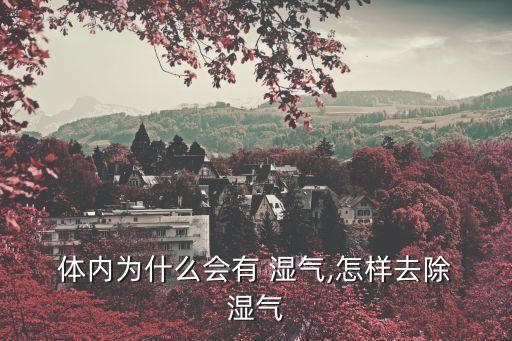  體內(nèi)為什么會(huì)有 濕氣,怎樣去除 濕氣