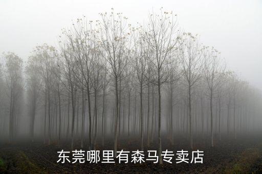 東莞哪里有賣福特野馬，哪有賣野馬汽車的