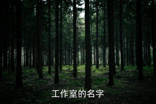 工作室取名，工作室的名字