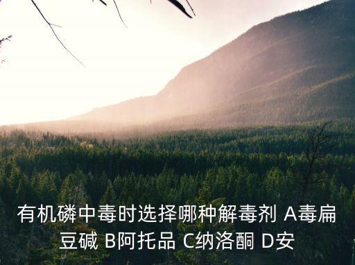 有機(jī)磷中毒時(shí)選擇哪種解毒劑 A毒扁豆堿 B阿托品 C納洛酮 D安