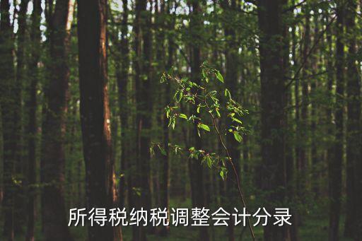 調整所得稅，所得稅的調整