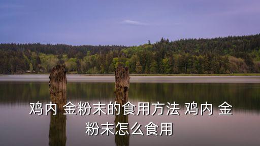  雞內(nèi) 金粉末的食用方法 雞內(nèi) 金粉末怎么食用