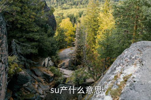  su產什么意思