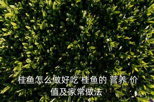 桂魚的營養價值,關于臭魚的介紹