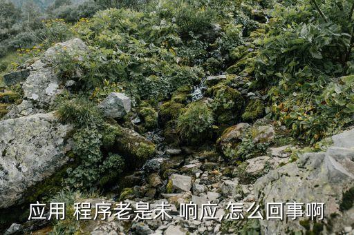 應用 程序老是未 響應,怎么回事啊