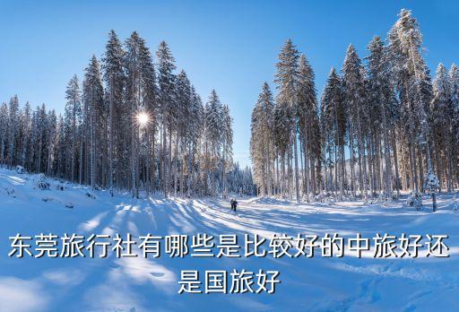 東莞旅行社有哪些是比較好的中旅好還是國旅好