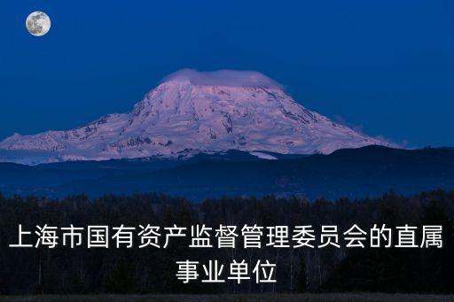 上海市國有資產監督管理委員會的直屬事業單位