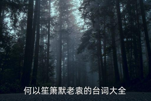 何以笙簫默老袁的臺詞大全