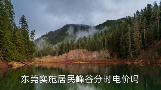 東莞峰平谷時段計費(fèi)，東莞常平工業(yè)用電價格的峰值 平值 谷值的時間段及各段的價格是多少