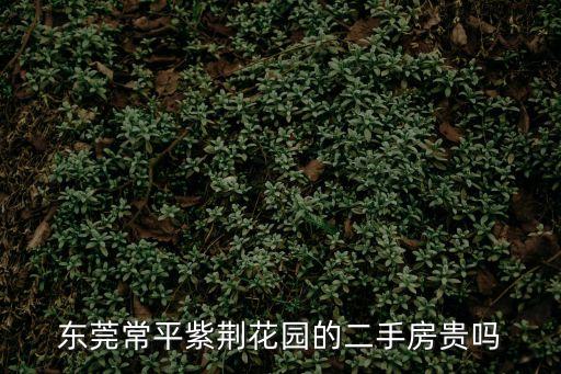 東莞常平紫荊花園的二手房貴嗎