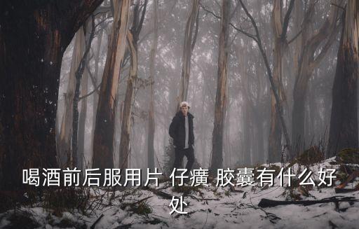 片仔癀膠囊,中成藥片劑仔每次1等份含0.6g藥物