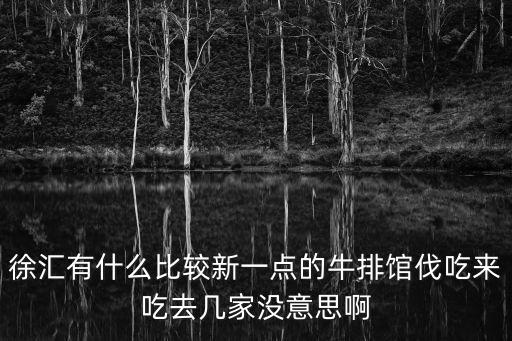 徐匯有什么比較新一點的牛排館伐吃來吃去幾家沒意思啊