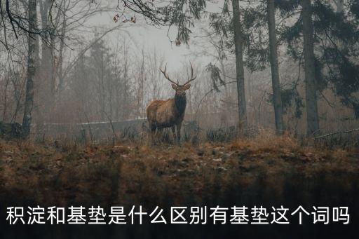 積淀和沉淀的區別，積淀和基墊是什么區別有基墊這個詞嗎