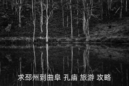 孔廟旅游攻略,5路公交車直達孔廟可先去碑林看書法